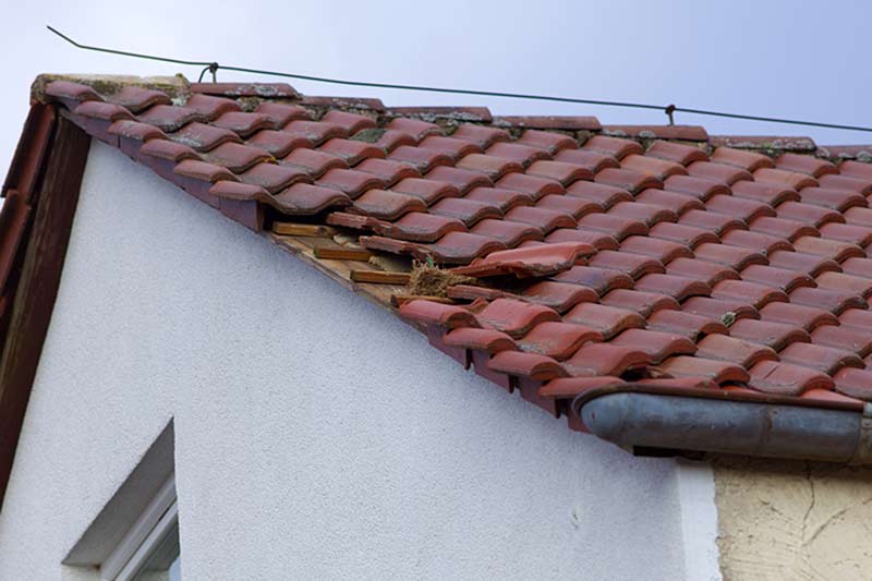 Should I Replace My Roof or Just Repair It?